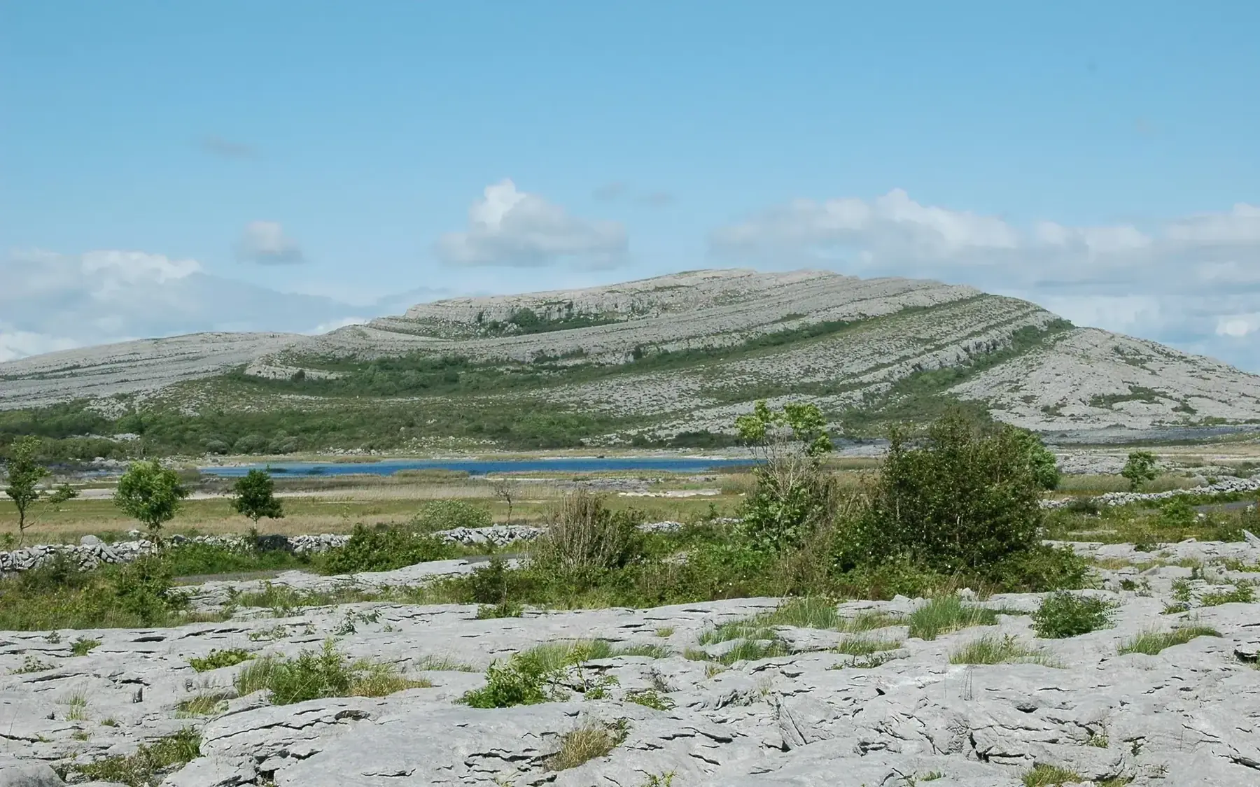 Burren National Park