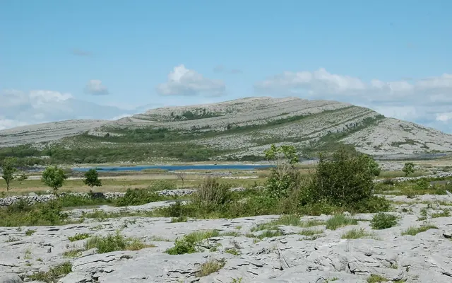 The Burren