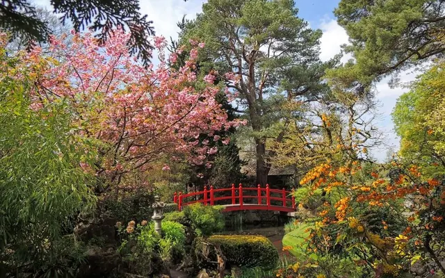 Japanese Gardens