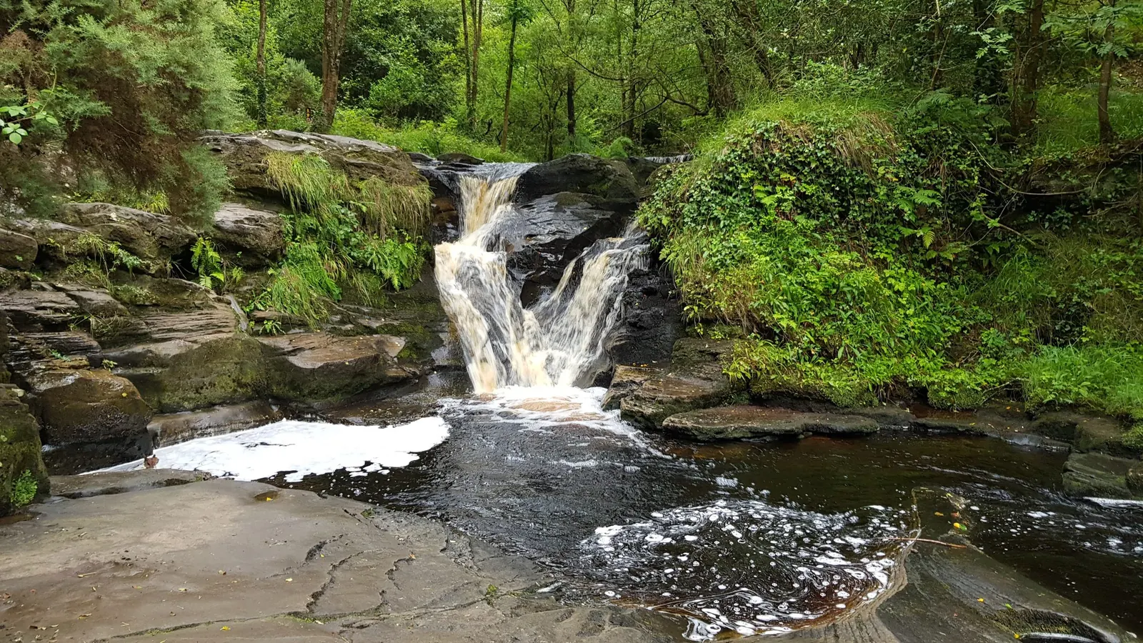 Slieve Bloom Mountains Nature Reserve, County Offaly