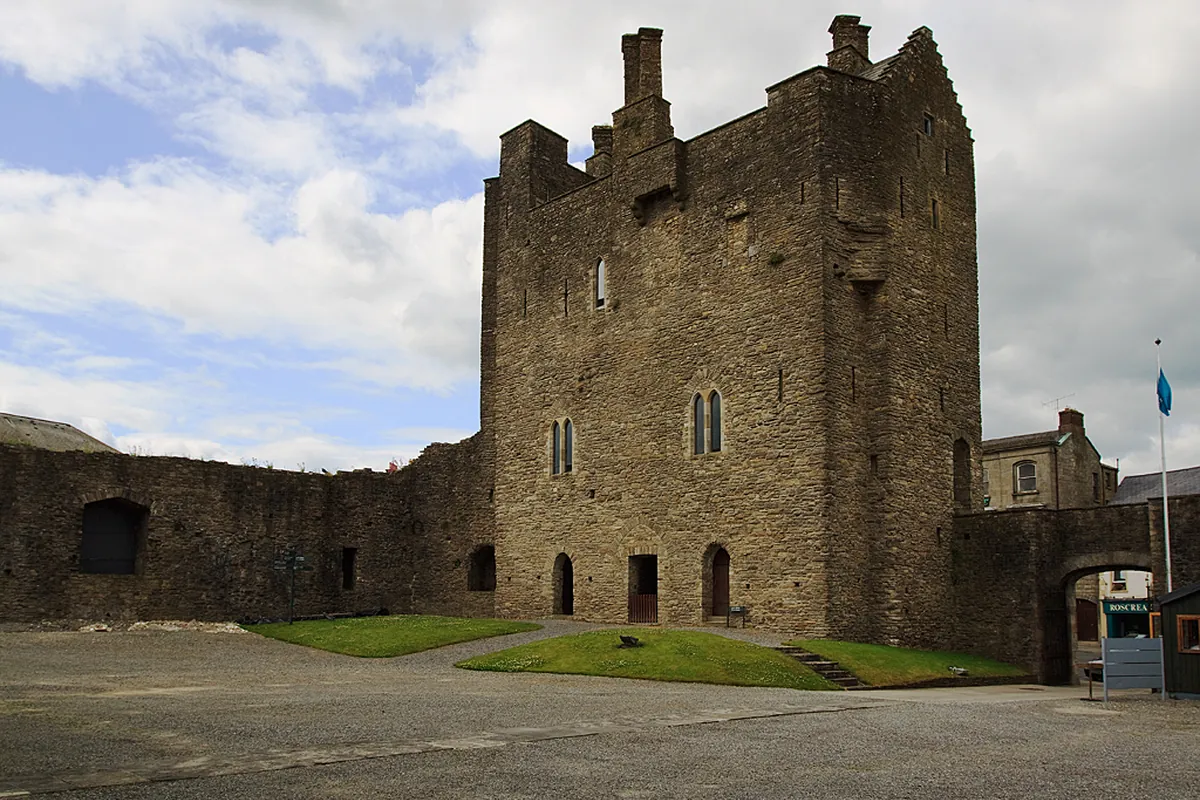 Roscrea Castle and Damer House