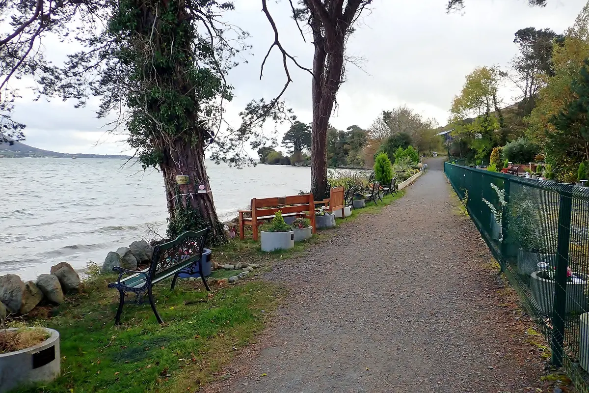 The Carlingford Greenway beside the lough at Rosminian Memorial Garden